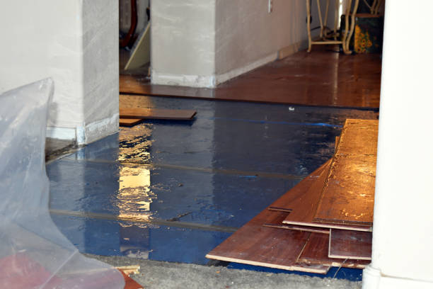 Professional Sewage Cleanup technician working in Clinton, AR